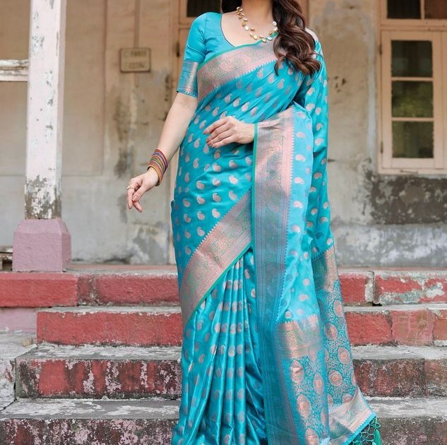 Fancy Sarees